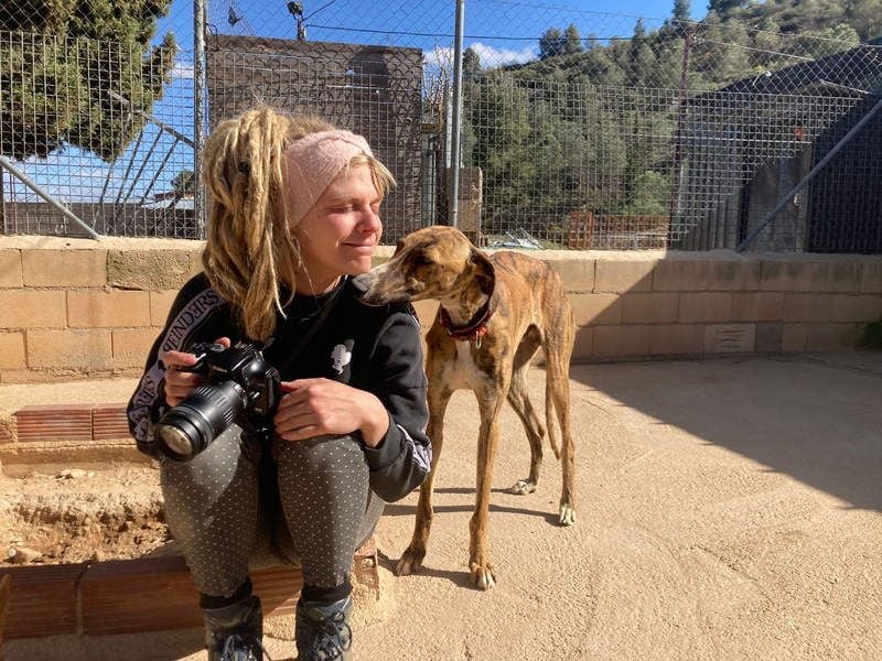 Wundervoller FITO-verspielt, menschschnfreundlich will endlich ein liebevolles Für-immer-Zuhause