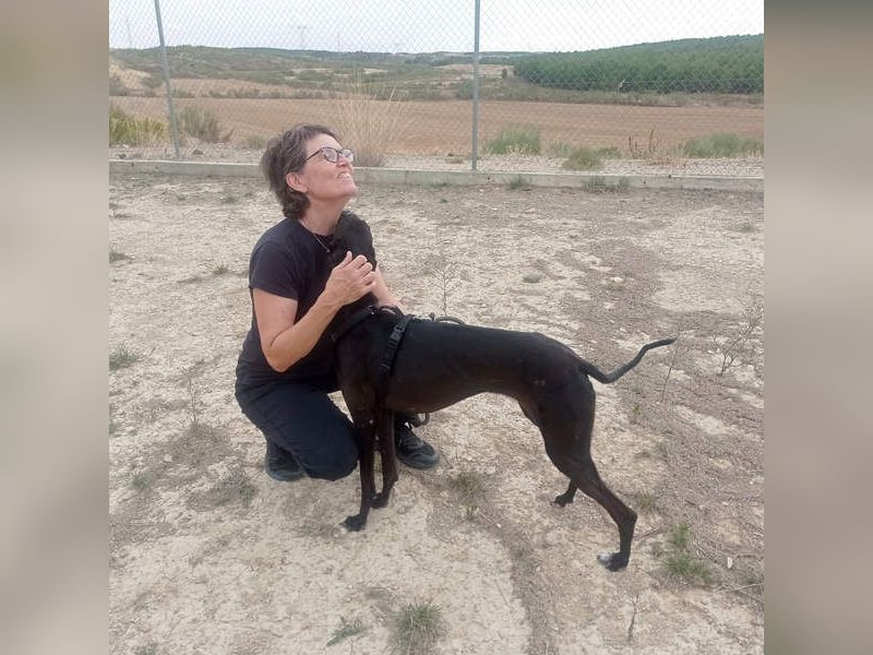 RASMIA-Lebensfreude pur sucht liebevolles, aktives Für-immer-Zuhause