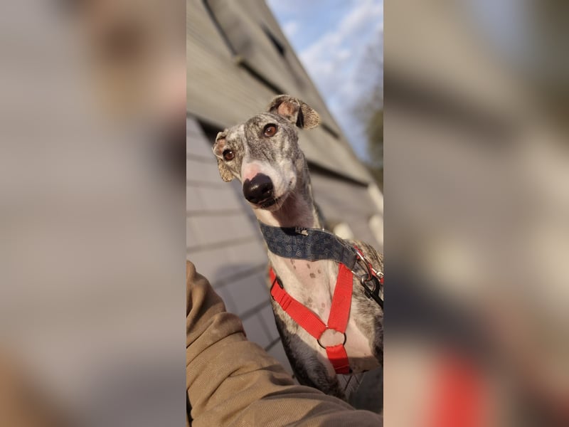 Selena wartet in 44579 Castrop-Rauxel