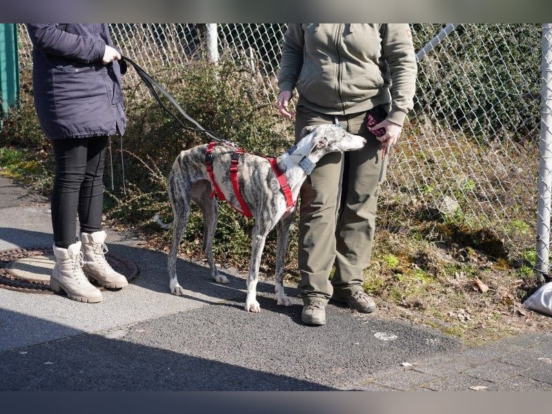 Selena wartet in 44579 Castrop-Rauxel