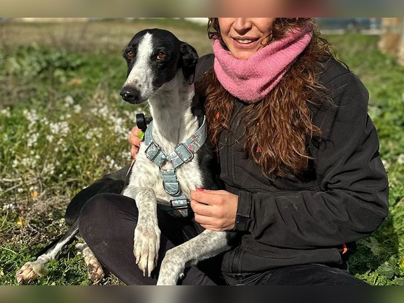 Kira (LR) eine freundliche und sanfte Hündin