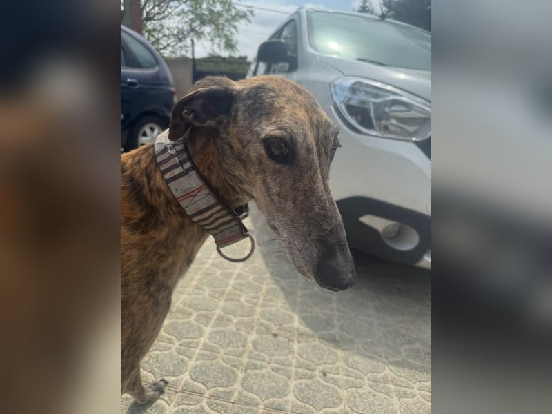 Maverik wartet auf dich!!!