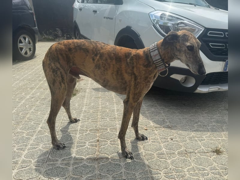 Maverik wartet auf dich!!!