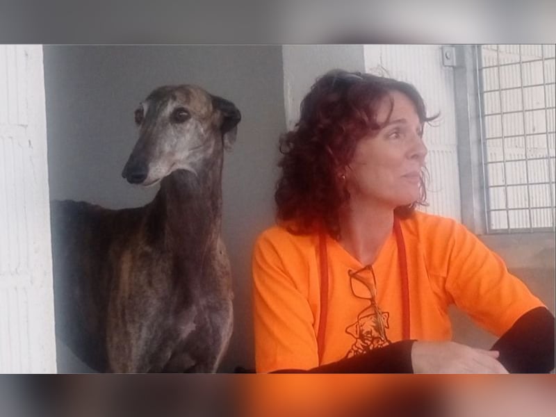 DIANA-liebe, noch etwas zurückhaltende, anhängliche Maus, die schon gut an der Leine läuft