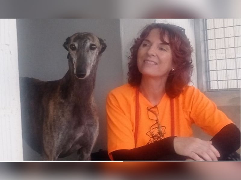 DIANA-liebe, noch etwas zurückhaltende, anhängliche Maus, die schon gut an der Leine läuft