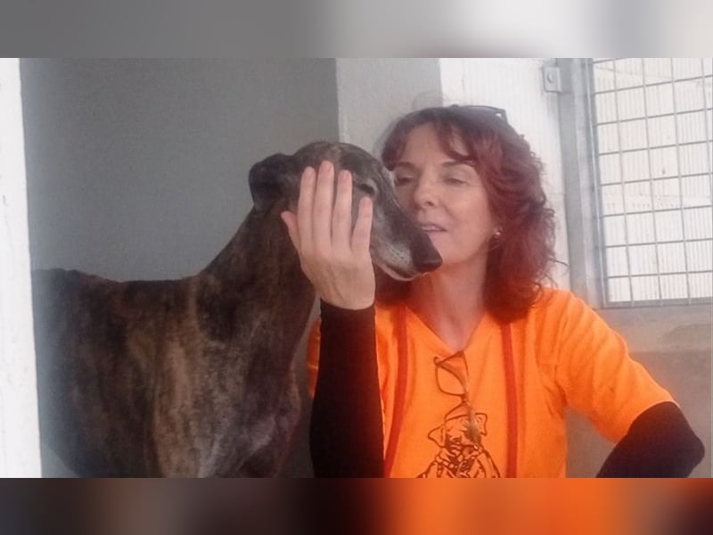 DIANA-liebe, noch etwas zurückhaltende, anhängliche Maus, die schon gut an der Leine läuft