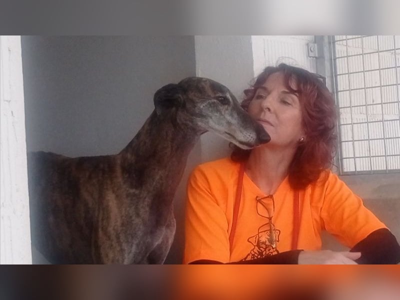 DIANA-liebe, noch etwas zurückhaltende, anhängliche Maus, die schon gut an der Leine läuft
