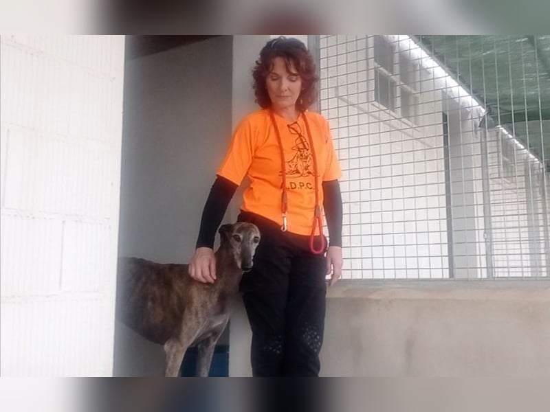 DIANA-liebe, noch etwas zurückhaltende, anhängliche Maus, die schon gut an der Leine läuft