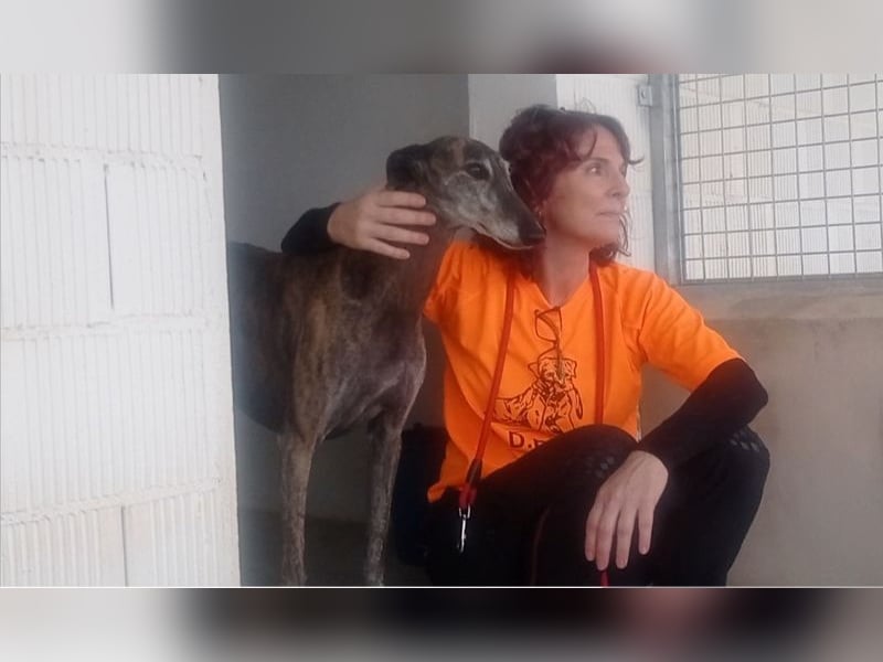 DIANA-liebe, noch etwas zurückhaltende, anhängliche Maus, die schon gut an der Leine läuft