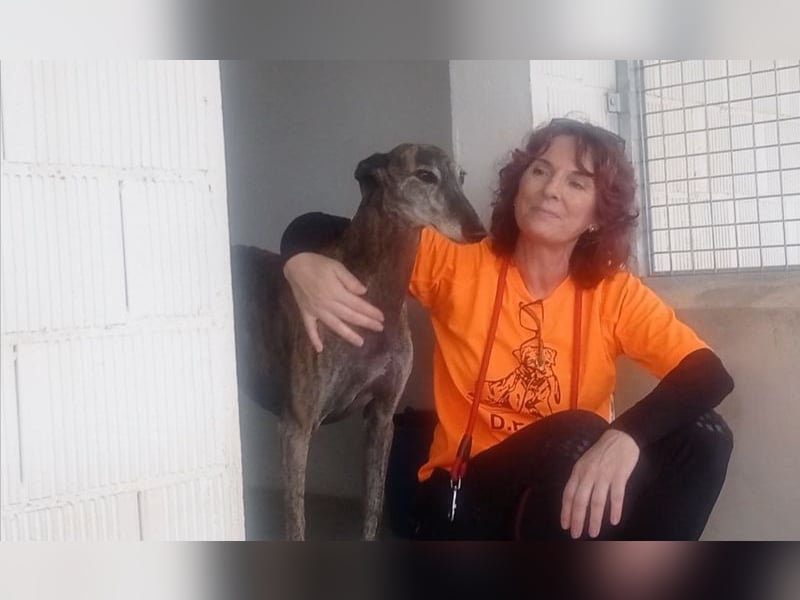 DIANA-liebe, noch etwas zurückhaltende, anhängliche Maus, die schon gut an der Leine läuft