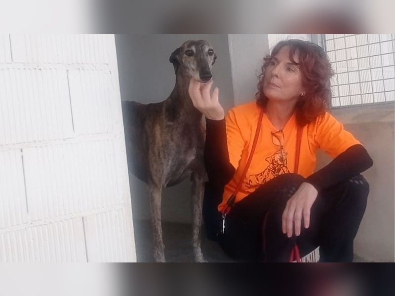 DIANA-liebe, noch etwas zurückhaltende, anhängliche Maus, die schon gut an der Leine läuft
