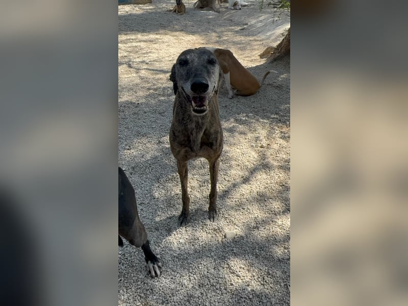 Barquiria, eine freundliche Seniorin