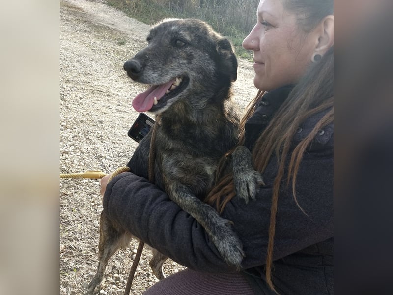 Samba die allerliebste in ganz Tierheim