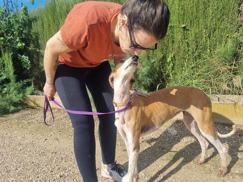 CAROLINA-Lebensfreude pur, sozial, liebevoll, sucht liebevolles Für-immer-Zuhause