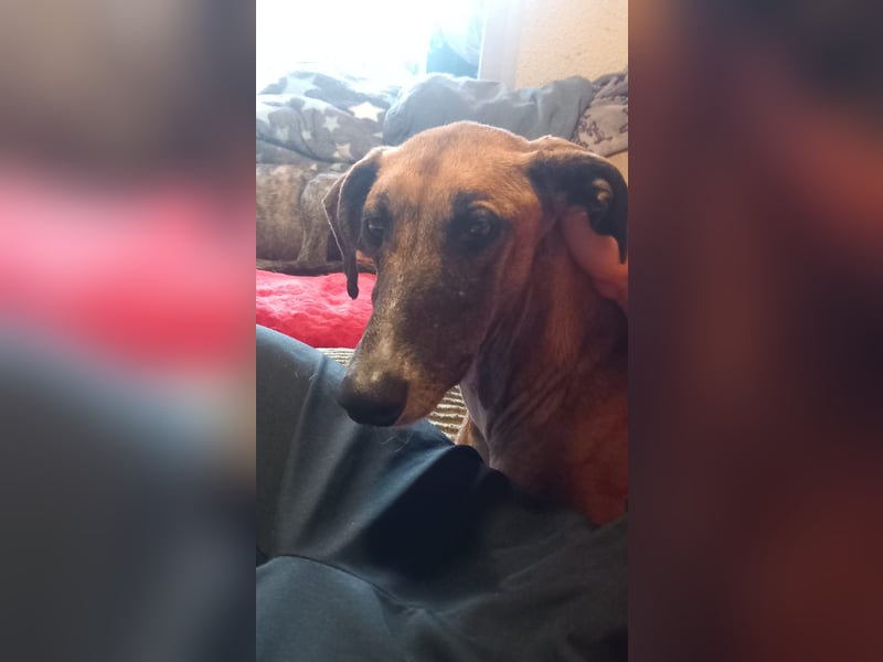 Cenicienta - freundlich und sozial