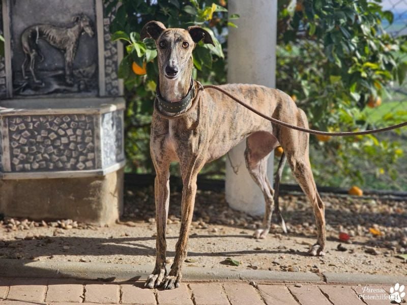 Loredana ist sehr menschenbezogen
