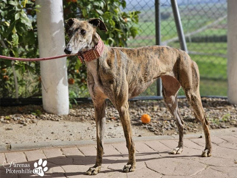 Loredana ist sehr menschenbezogen