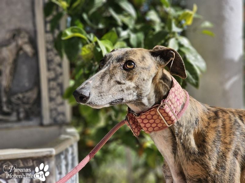 Loredana ist sehr menschenbezogen