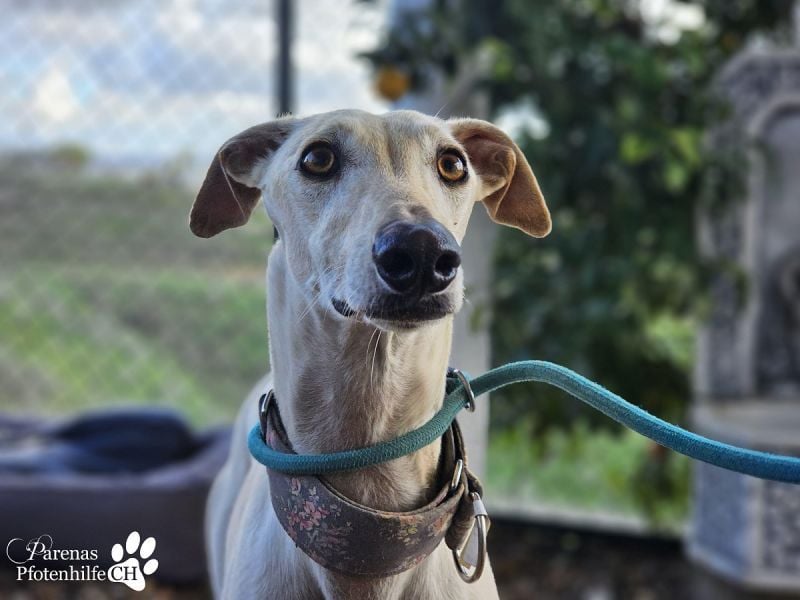 Lea ist fröhlich und hat eine tolle Ausstrahlung , braucht anfangs Zeit