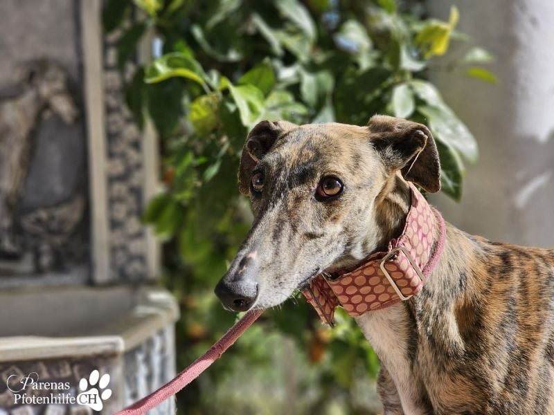 Loredana ist sehr menschenbezogen