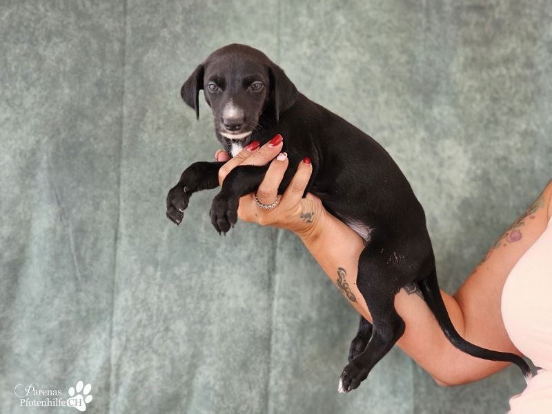 Rainbow entdeckt die Welt mit neugierigen Augen