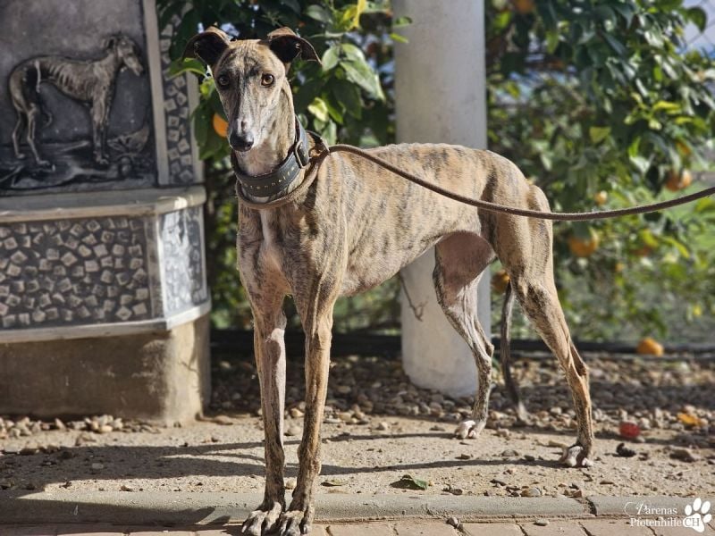 Loredana ist sehr menschenbezogen
