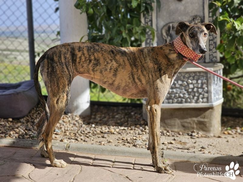 Loredana ist sehr menschenbezogen