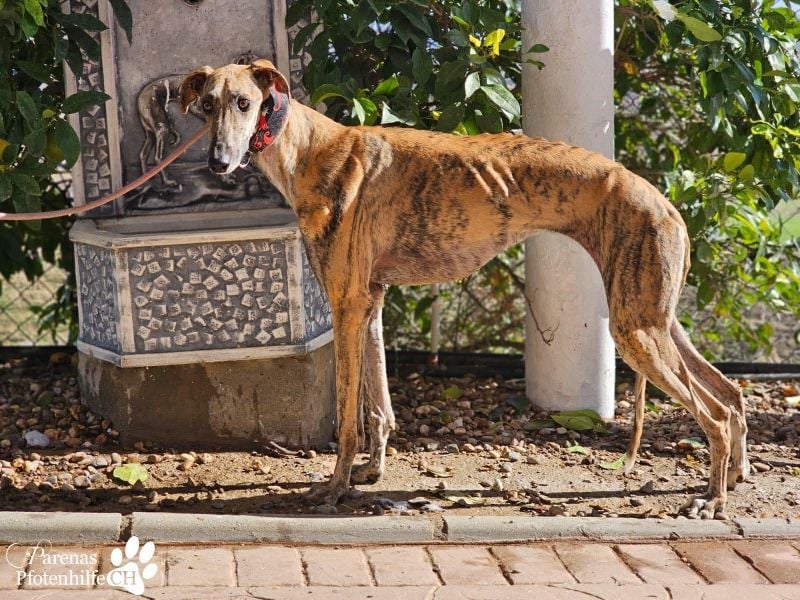 Karo ist menschenbezogen, braucht anfangs aber Zeit