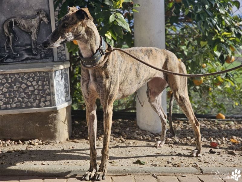 Loredana ist sehr menschenbezogen