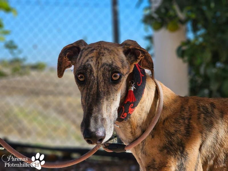 Karo ist menschenbezogen, braucht anfangs aber Zeit