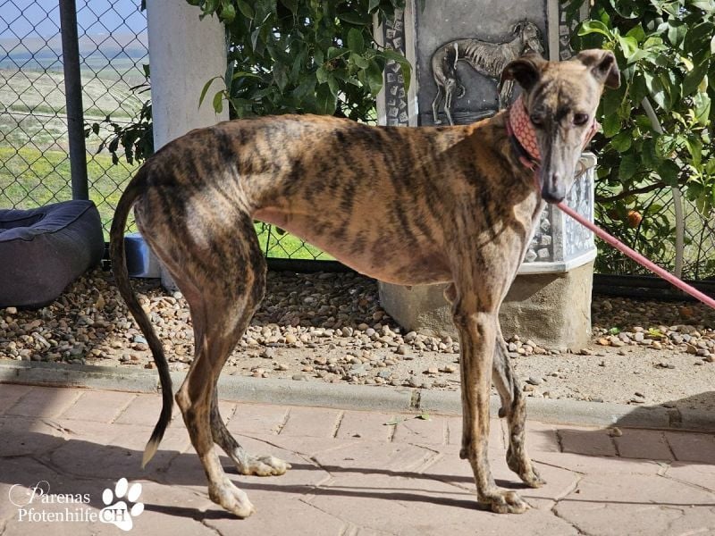 Loredana ist sehr menschenbezogen