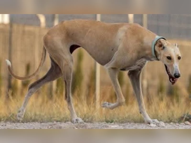 ❤️ CLARINA ❤️    ❗NOTFALL❗