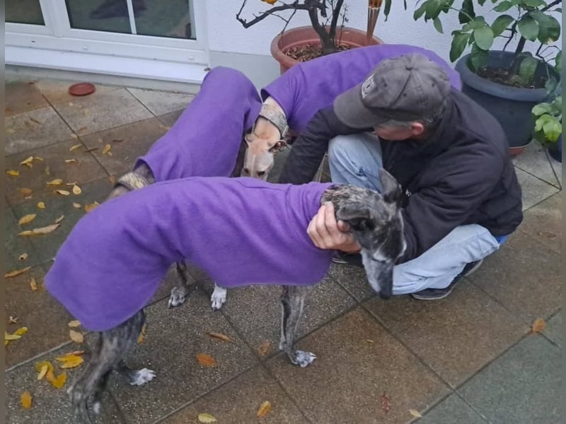 ❤️ CLARINA ❤️    ❗NOTFALL❗