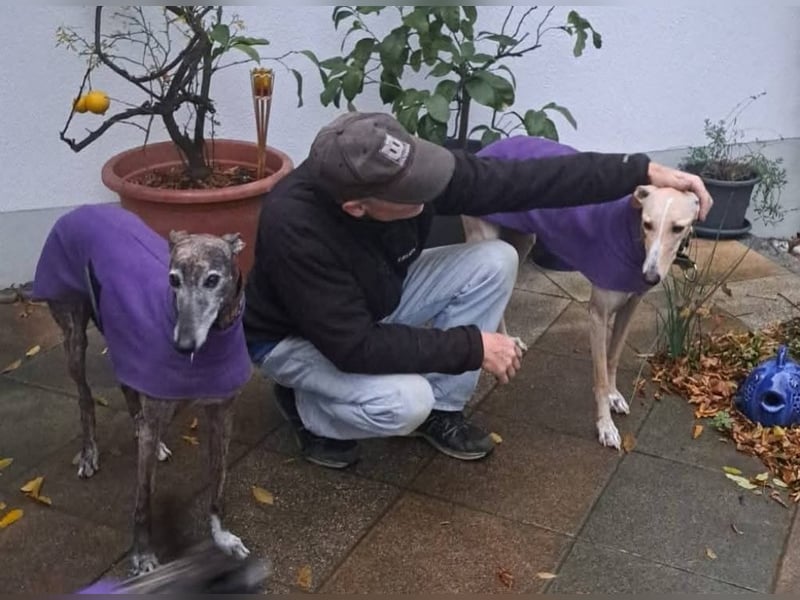 ❤️ CLARINA ❤️    ❗NOTFALL❗