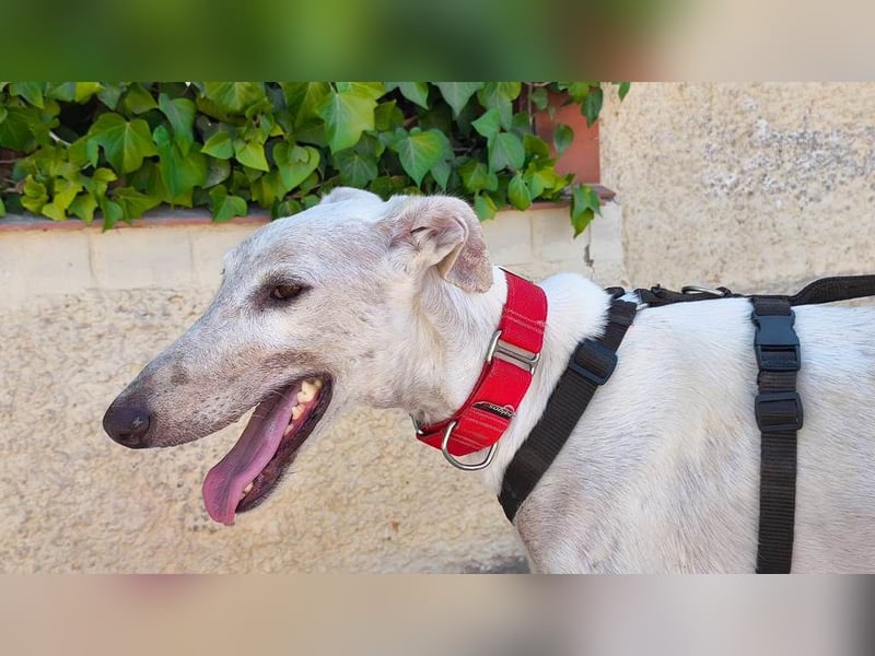 ❤️KIKO❤️