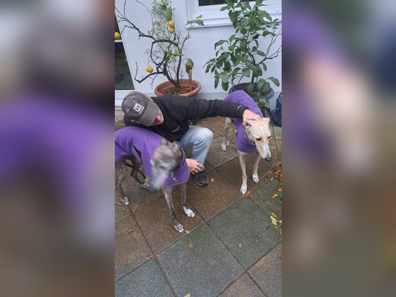 ❤️ CLARINA ❤️    ❗NOTFALL❗