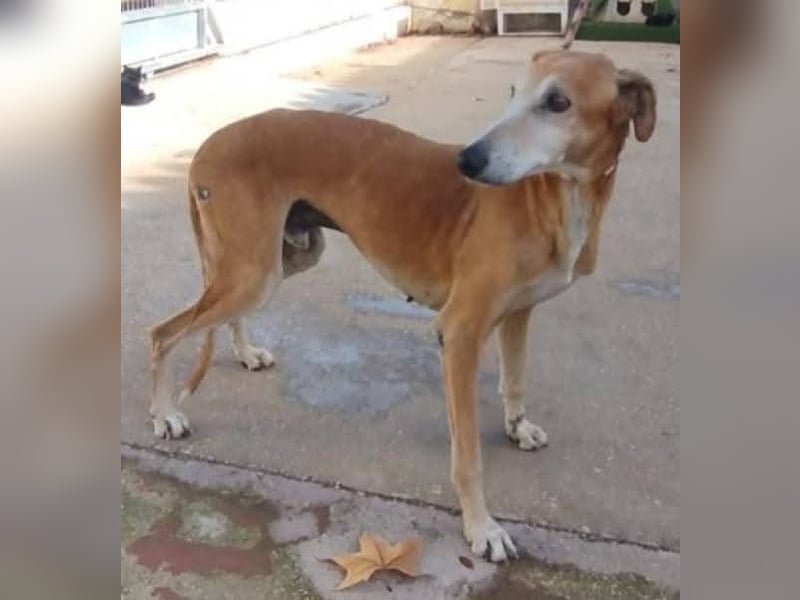 ❤️ BALE ❤️    ❗NOTFALL❗