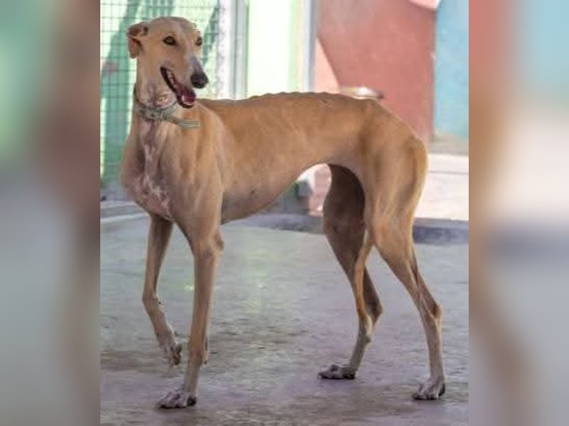 ❤️ CLARINA ❤️    ❗NOTFALL❗