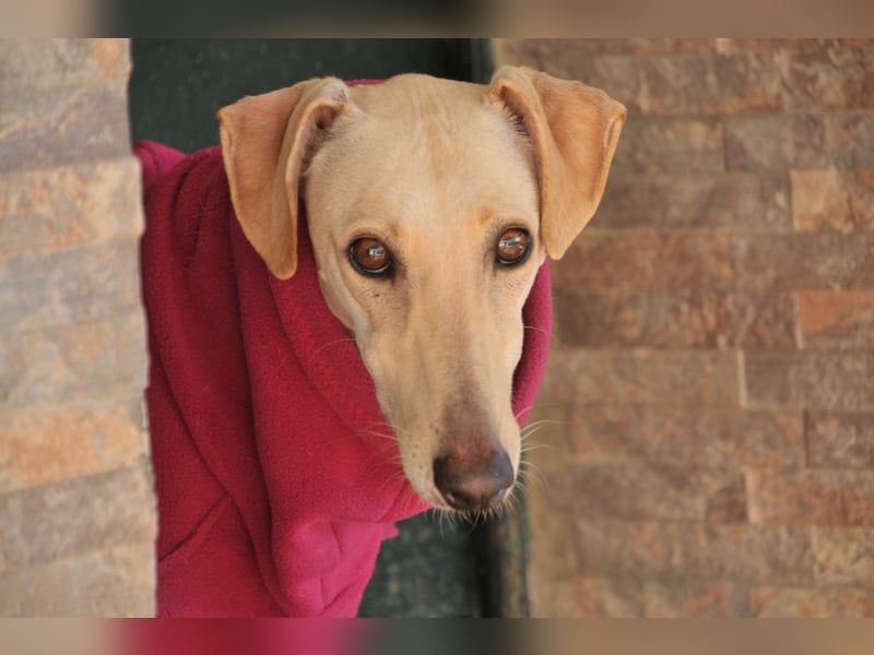 Darf Kiska deine Superheldin sein?