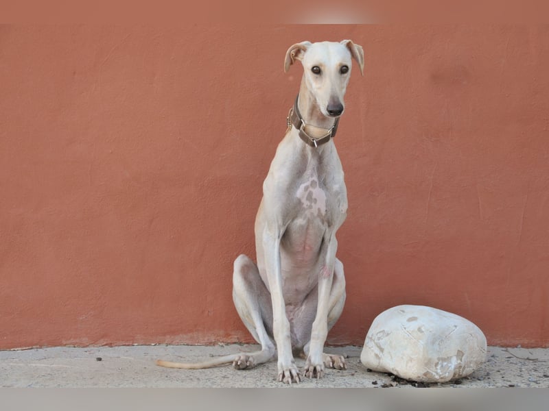 Darf Kiska deine Superheldin sein?