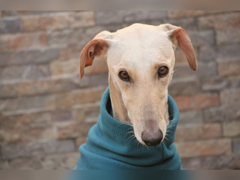 Darf Kiska deine Superheldin sein?