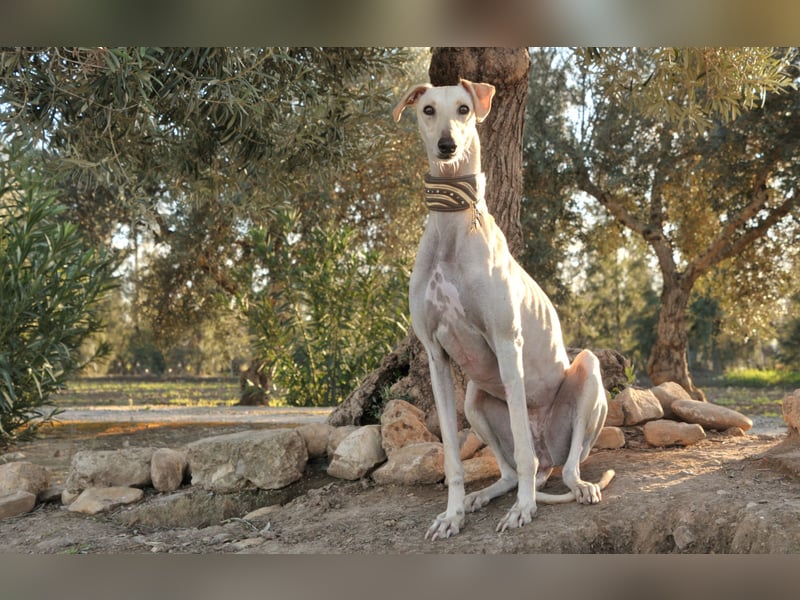 Darf Kiska deine Superheldin sein?