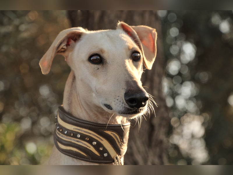 Darf Kiska deine Superheldin sein?