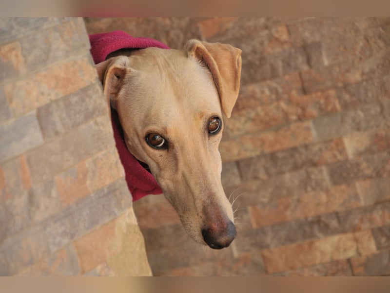 Darf Kiska deine Superheldin sein?