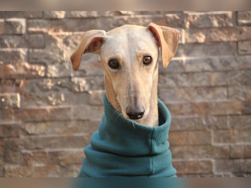 Darf Kiska deine Superheldin sein?