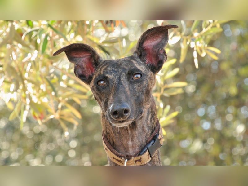 Wird Nani von dir gesehen und geliebt?