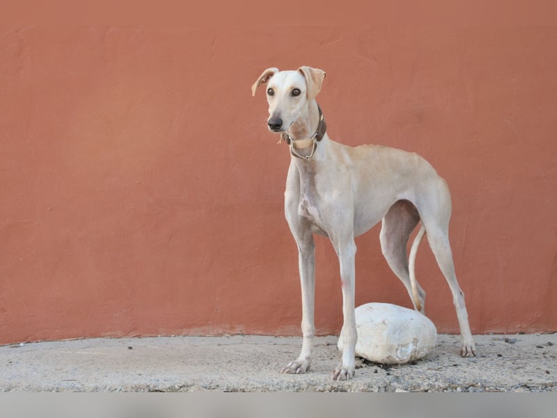 Darf Kiska deine Superheldin sein?