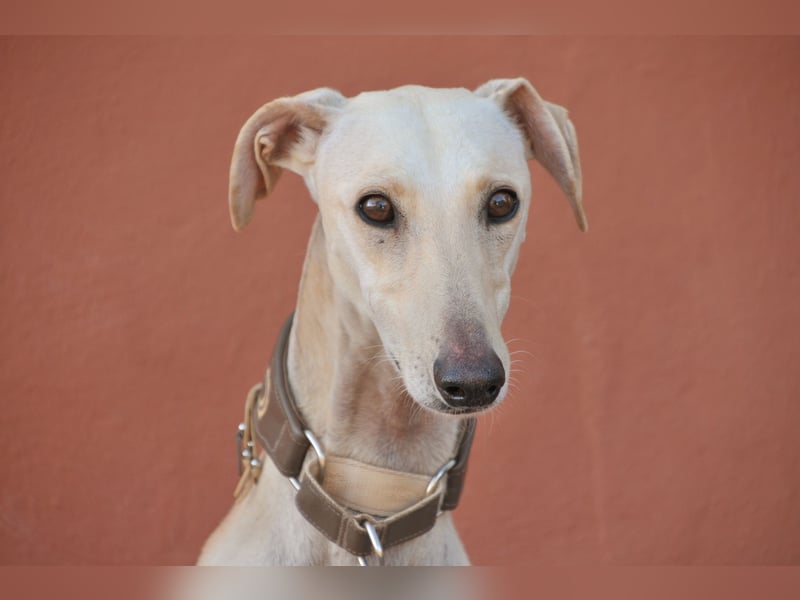 Darf Kiska deine Superheldin sein?