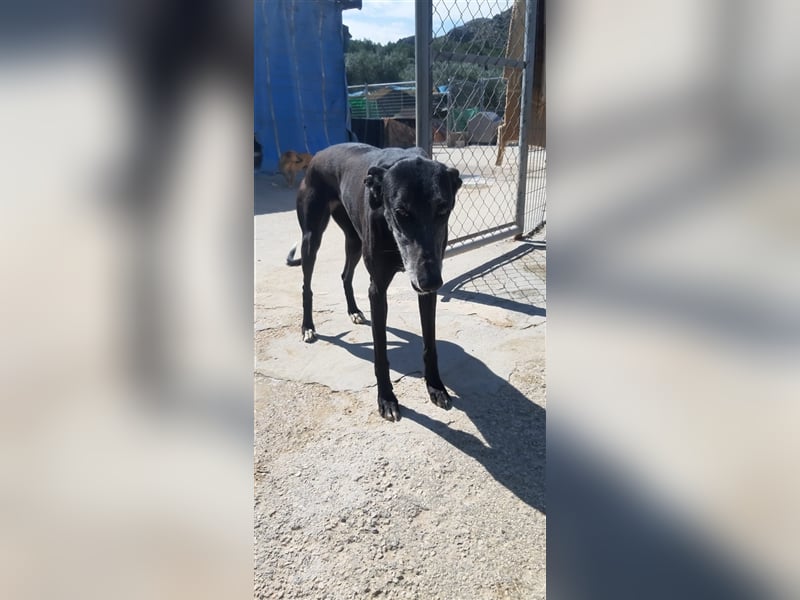 Kora, black is beautiful !