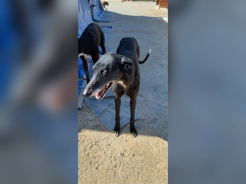 Kora, black is beautiful !